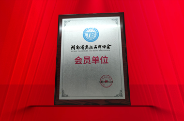 2022年湖南省商标协会会员单位